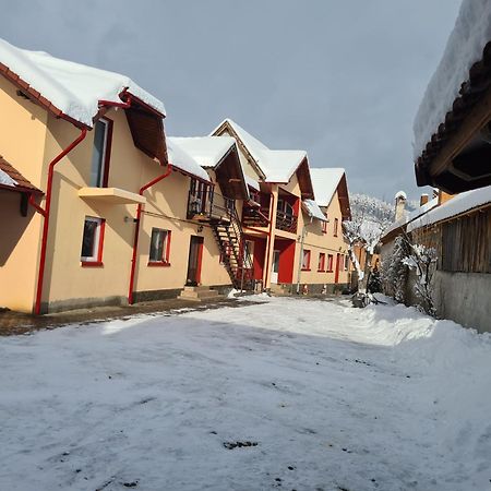 Vila Vladut Zărneşti エクステリア 写真