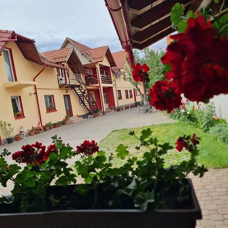 Vila Vladut Zărneşti エクステリア 写真