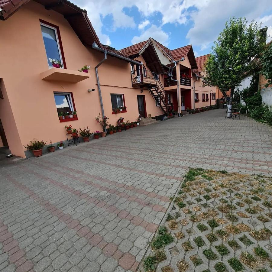 Vila Vladut Zărneşti エクステリア 写真