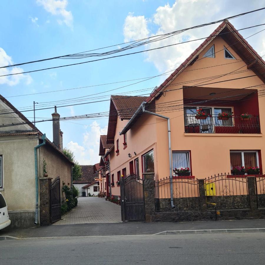 Vila Vladut Zărneşti エクステリア 写真