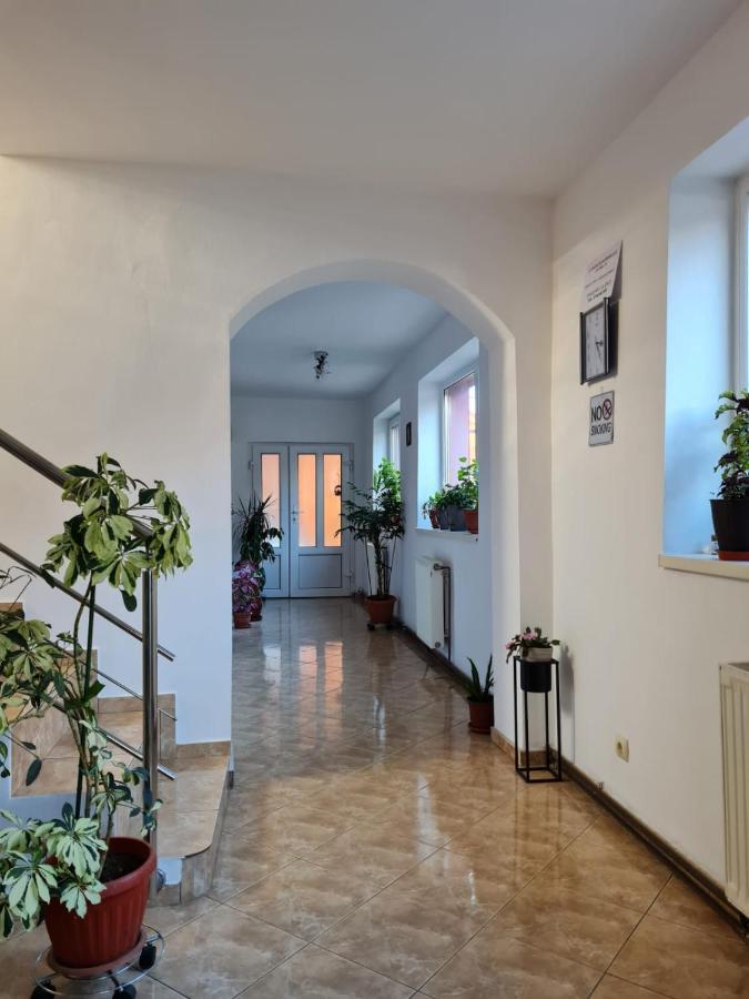 Vila Vladut Zărneşti エクステリア 写真