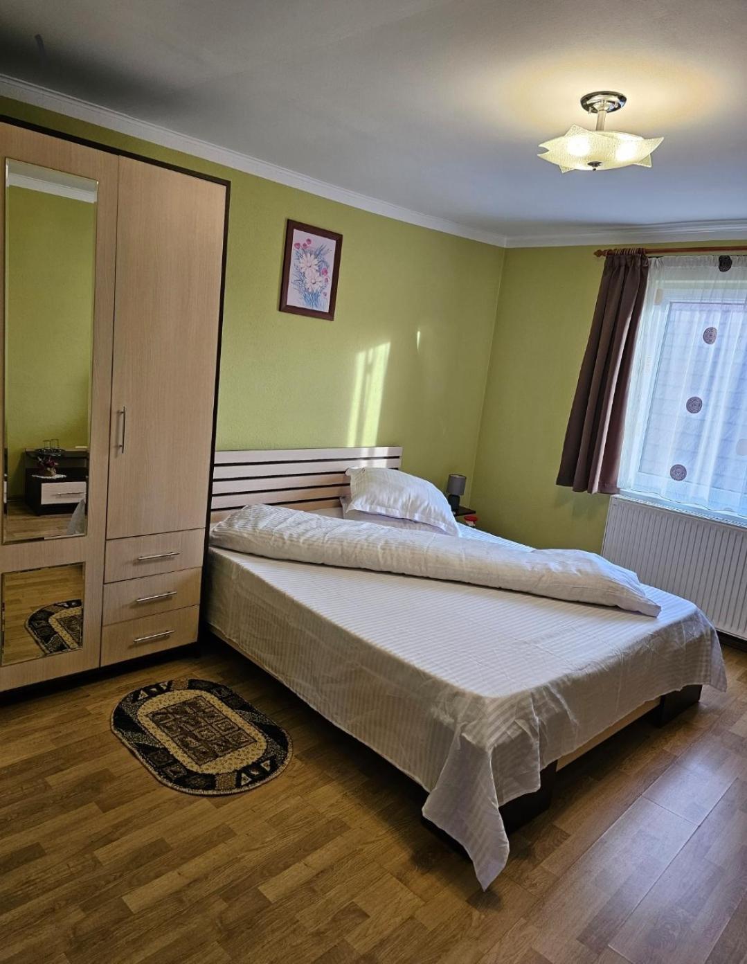 Vila Vladut Zărneşti エクステリア 写真