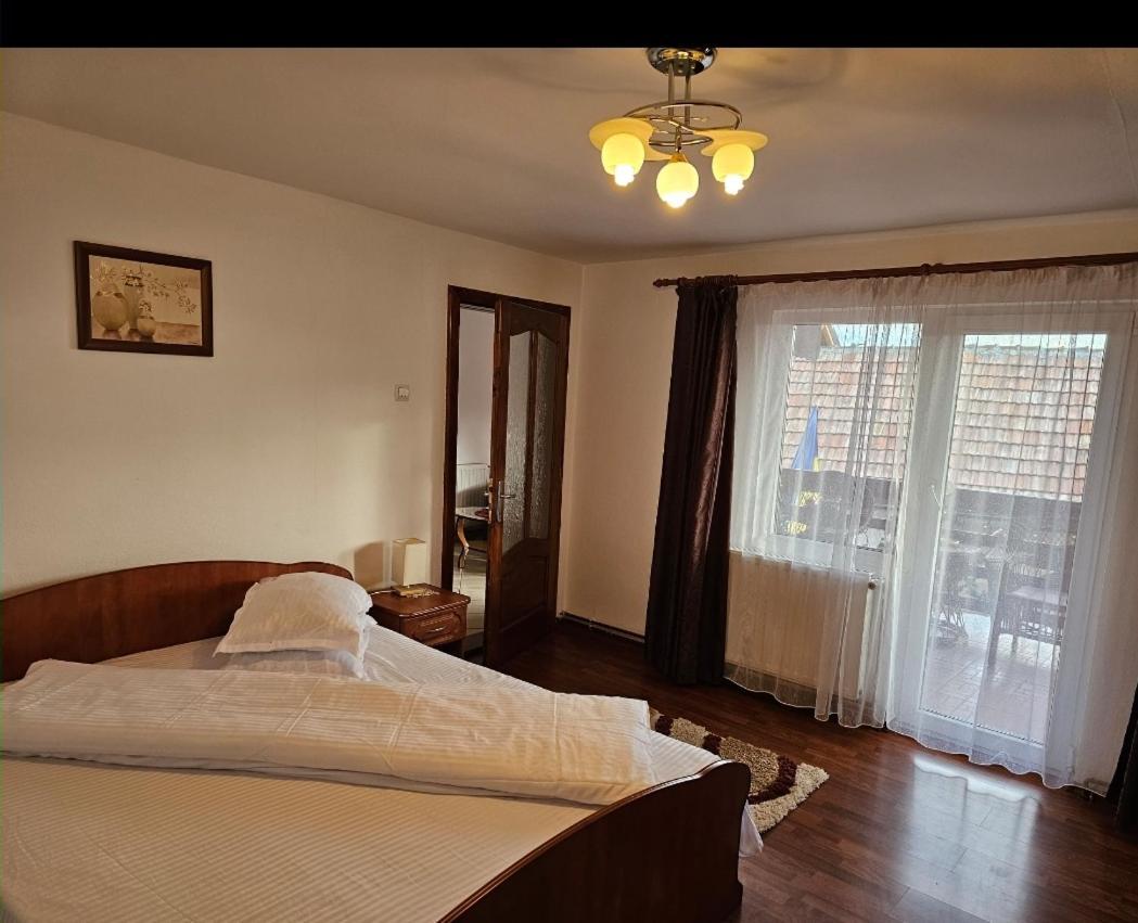 Vila Vladut Zărneşti エクステリア 写真