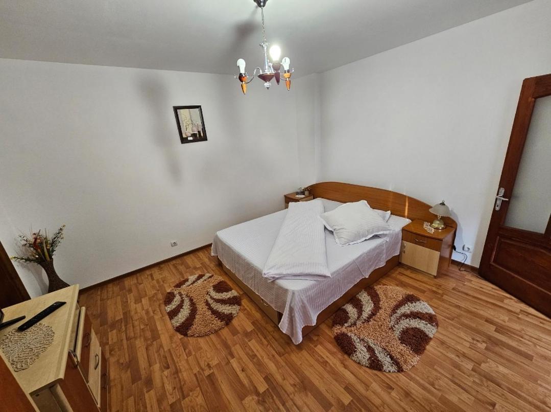 Vila Vladut Zărneşti エクステリア 写真