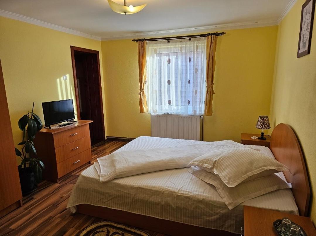 Vila Vladut Zărneşti エクステリア 写真