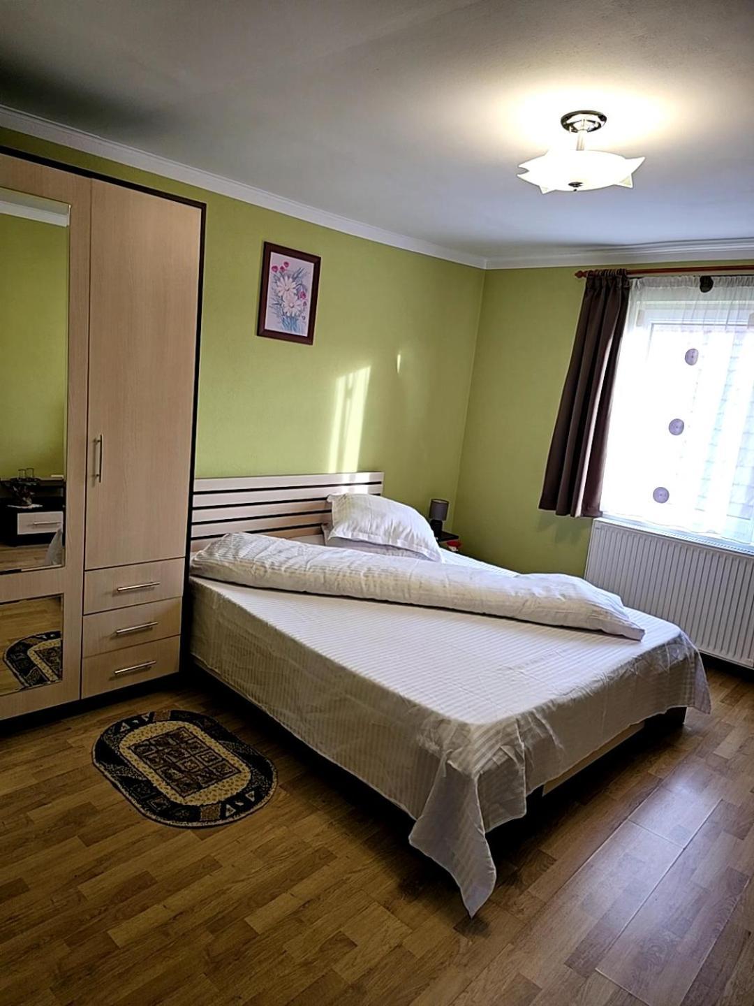 Vila Vladut Zărneşti エクステリア 写真