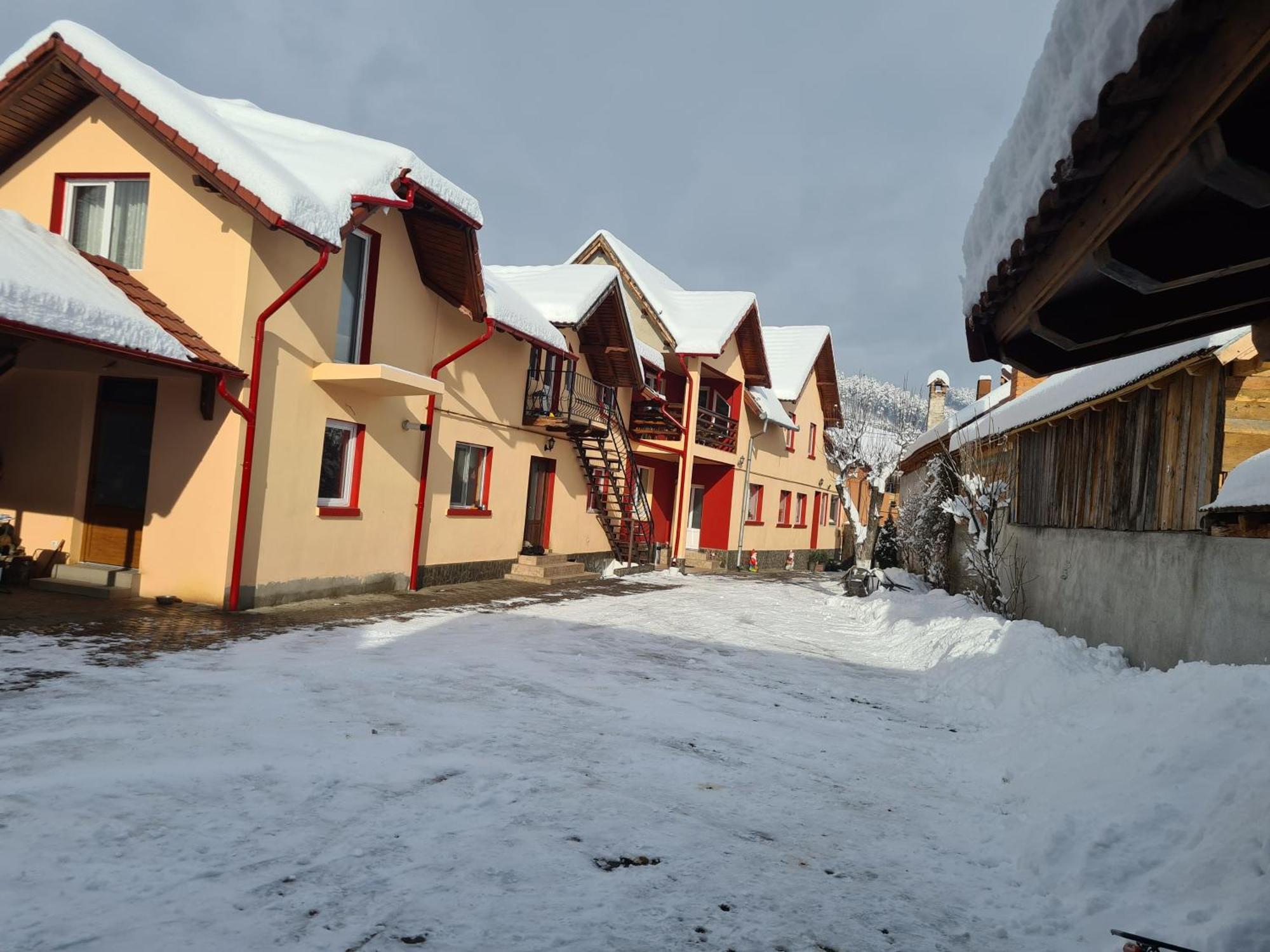 Vila Vladut Zărneşti エクステリア 写真
