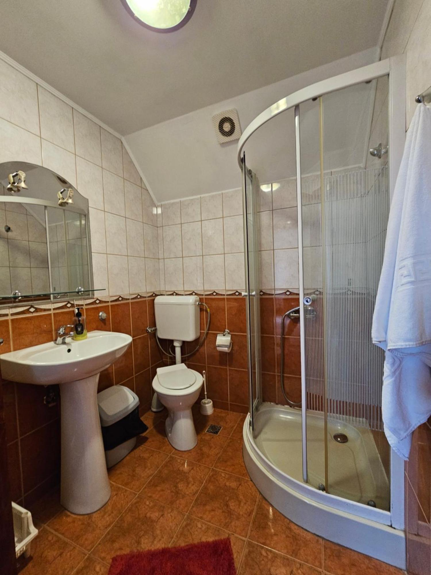 Vila Vladut Zărneşti エクステリア 写真