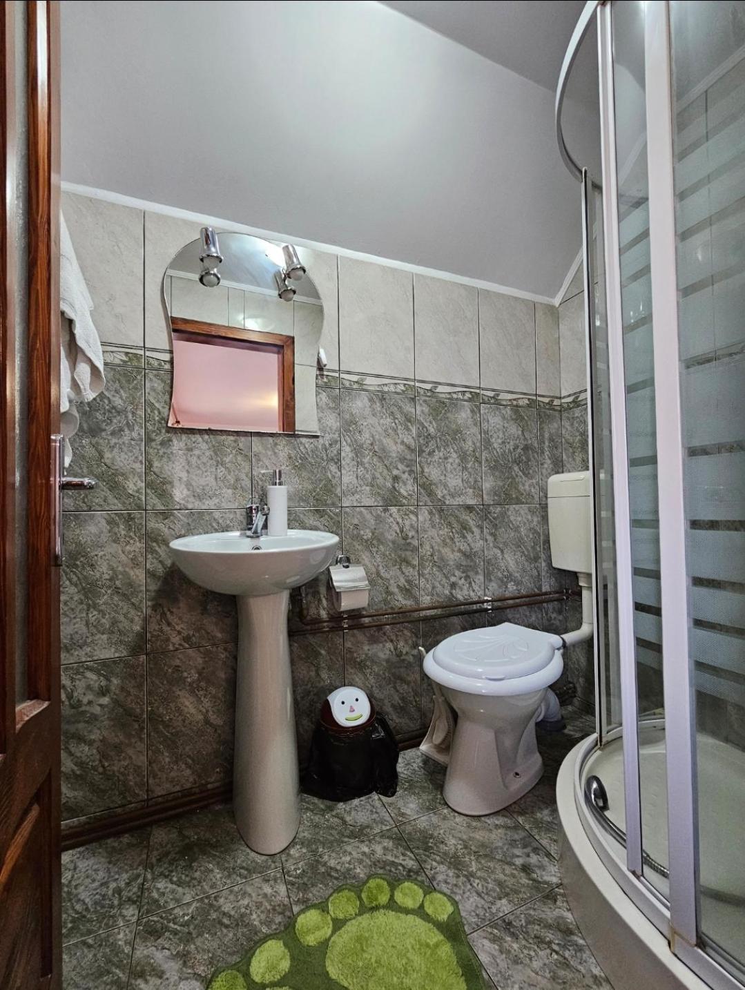 Vila Vladut Zărneşti エクステリア 写真