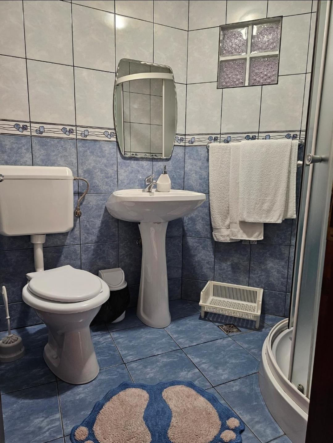 Vila Vladut Zărneşti エクステリア 写真