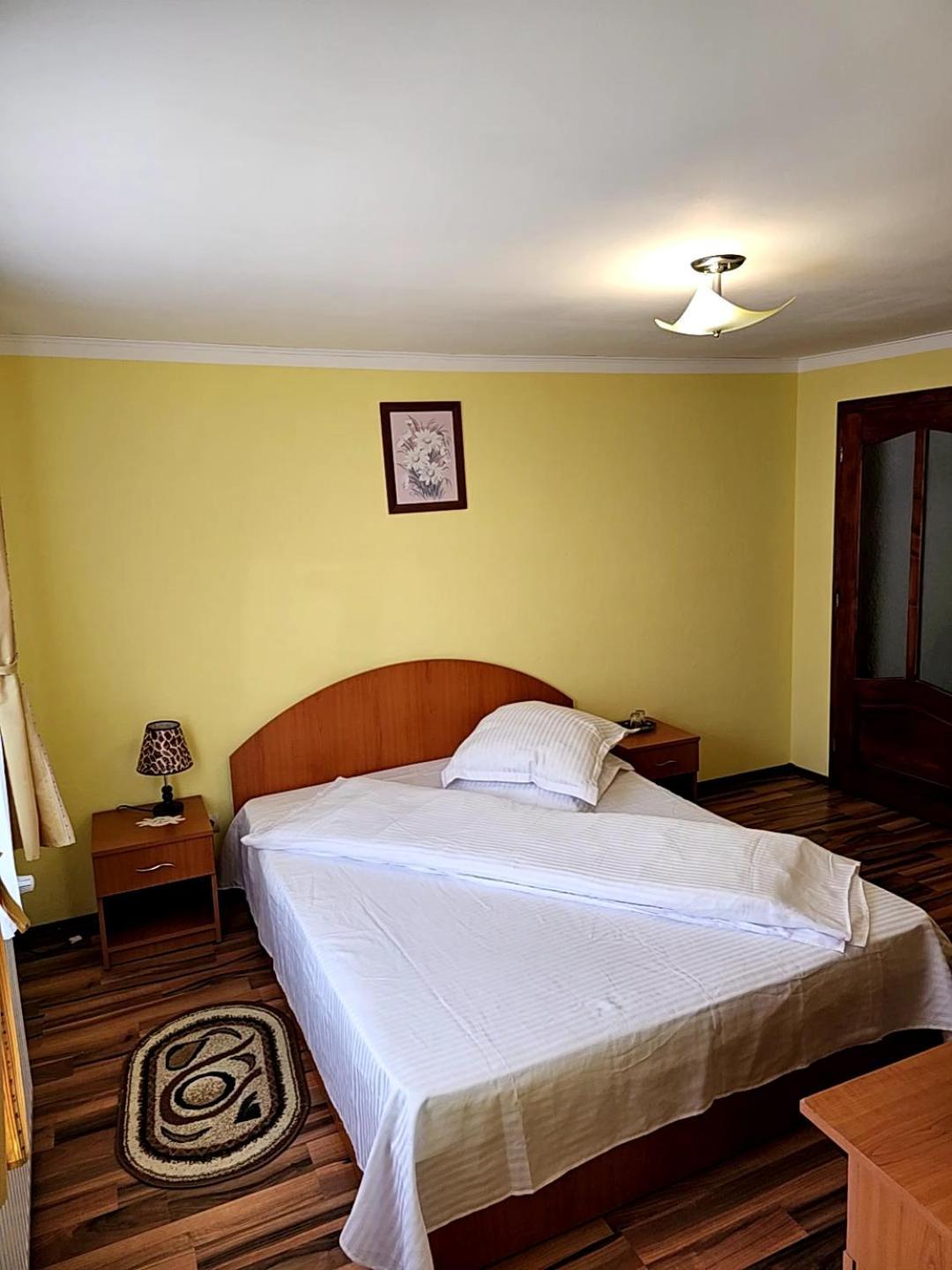 Vila Vladut Zărneşti エクステリア 写真