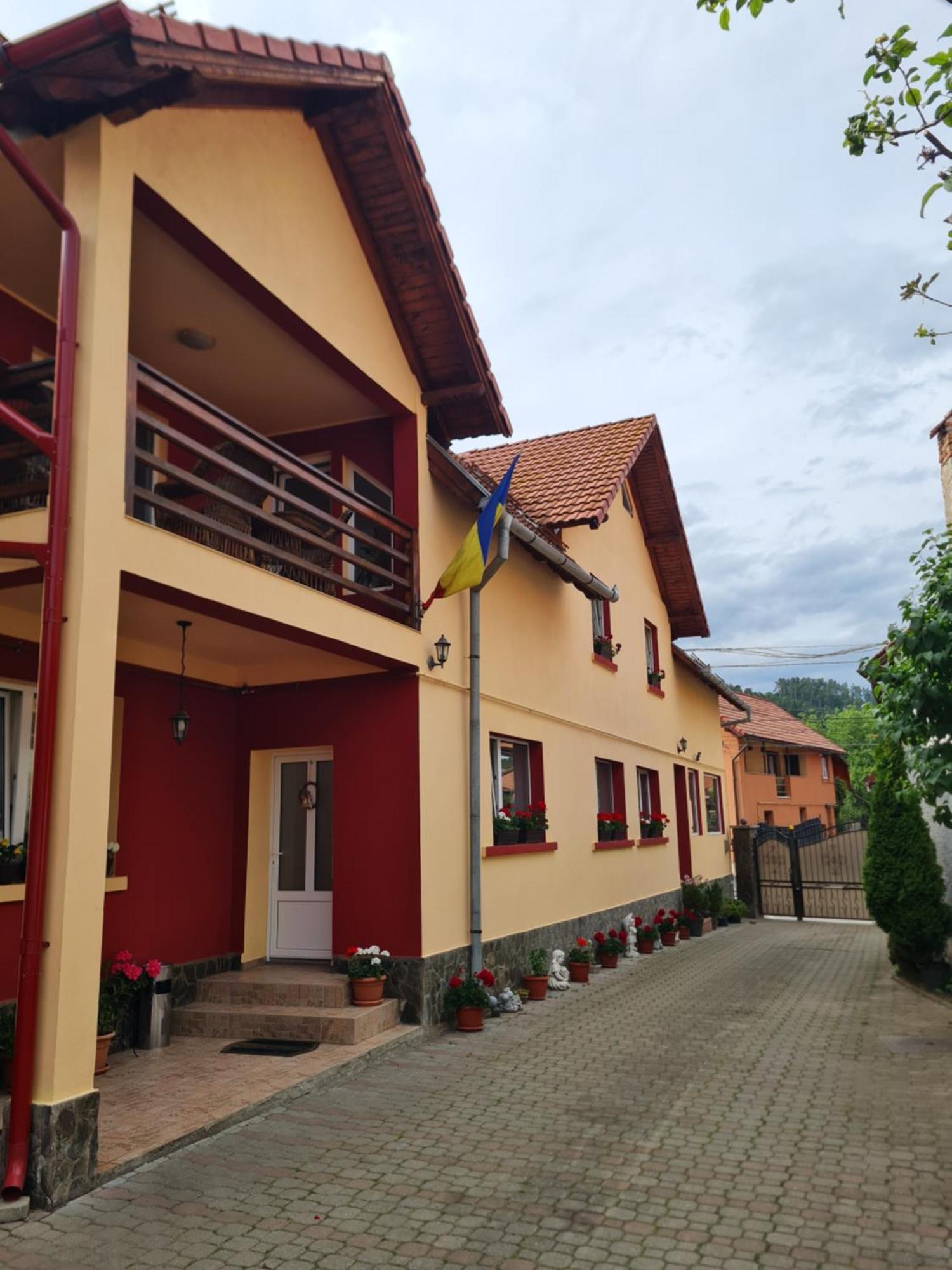 Vila Vladut Zărneşti エクステリア 写真