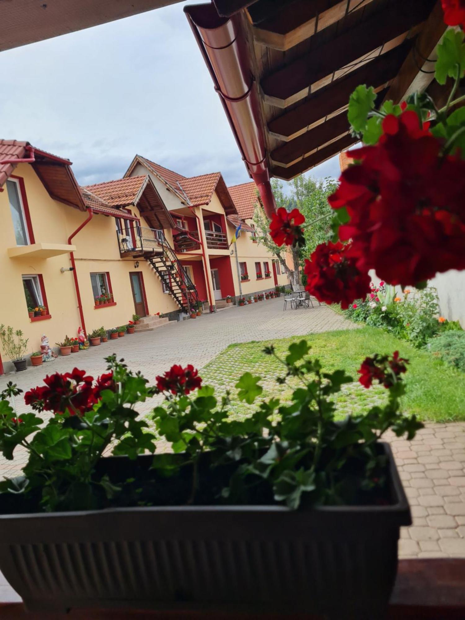 Vila Vladut Zărneşti エクステリア 写真